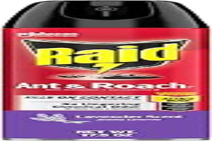 Raid Ant & Roach Killer Spray For Listed Bugs, Keeps Killing for Weeks, Lavender Scent, 17.5 oz