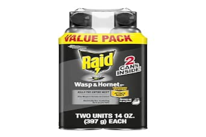 Raid Wasp & Hornet Killer Spray, Bug Killer Kills the Entire Nest, 14 Oz, 2 Count